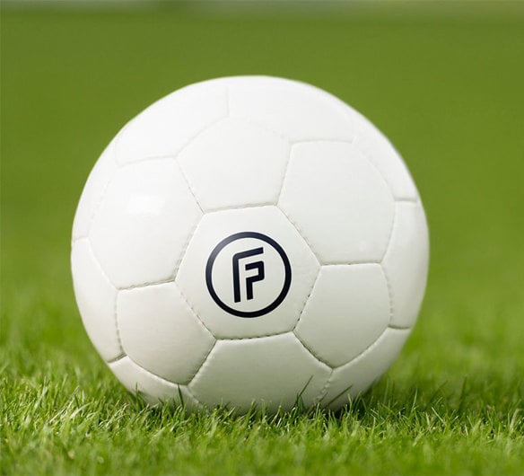 FIFPRO Ball 1100