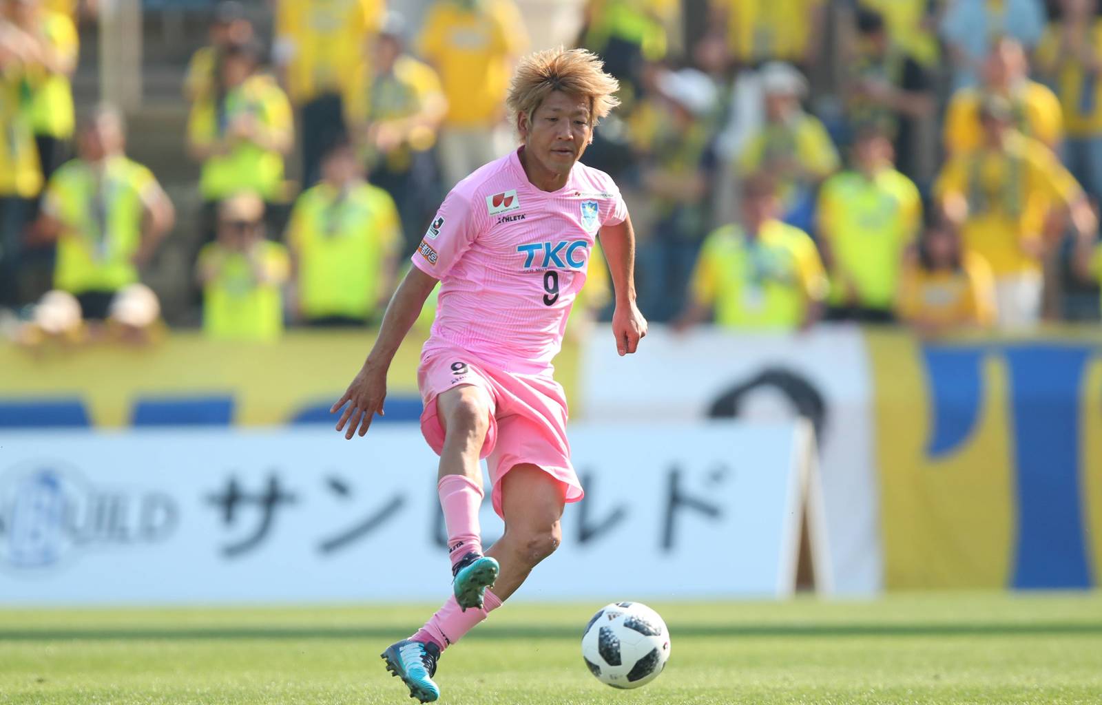Masashi Oguro Pink